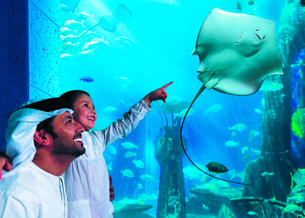 The Lost World Aquarium Tickets (Formerly The Lost Chambers) Discount